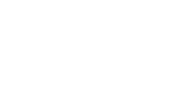 AMC BR