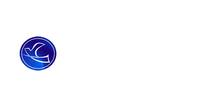 Canal Vida