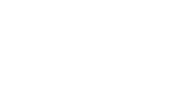 ELEVEN 1 PT Extra II