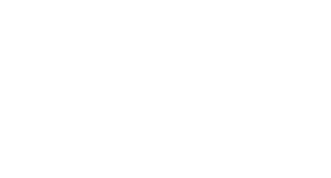 ELEVEN SPORTS 6 PT