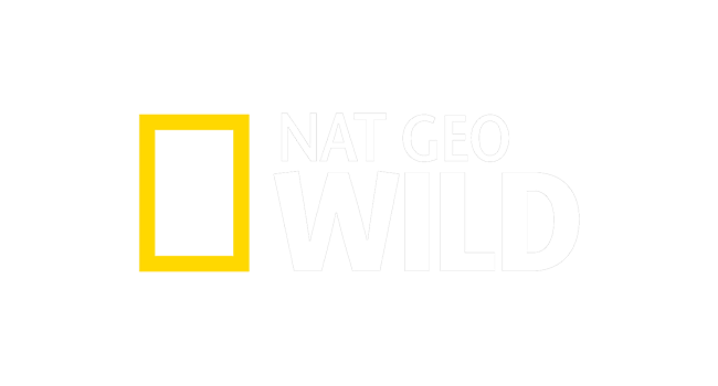 National Geographic Wild PT